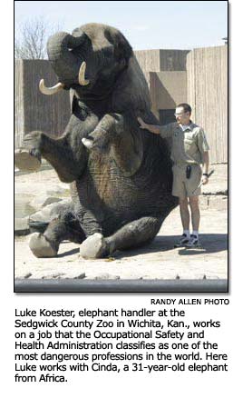 Luke Koester with Cinda the elephant