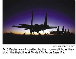 F-15 Eagles