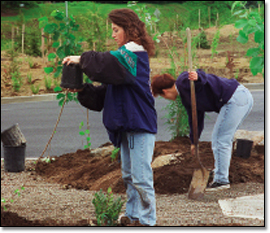 Boeing employees volunteered thousands of hours over several years to help create
the Narbeck Wetlands preserve